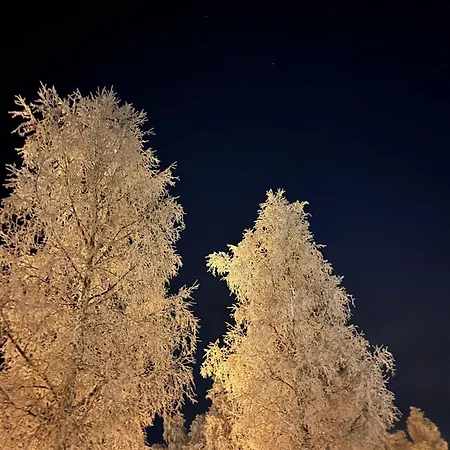 North Star Tatil Evi Rovaniemi