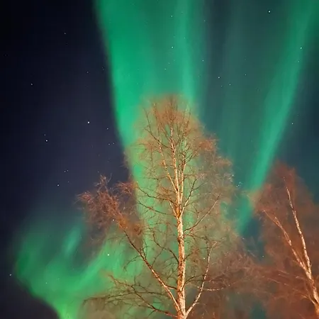 North Star